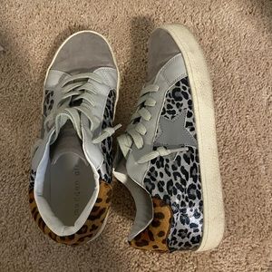 steve madden shoes